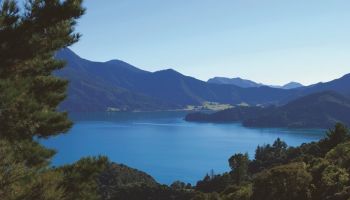 7 Day Queen Charlotte Sounds and Abel Tasman Hike