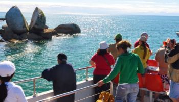 Abel Tasman Day Tours