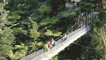 Abel Tasman Walking break