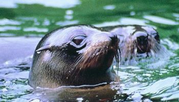 Queenstown Departures