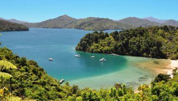 Marlborough Sounds Day Tours