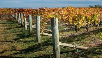 Day Tours & Attractions