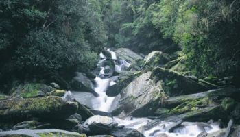 Day Tours and Activities