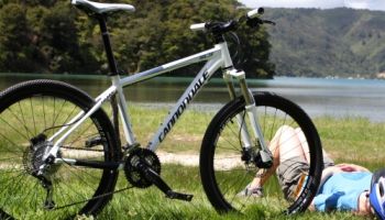 Queen Charlotte Track Mountain Biking
