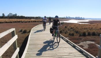 1 Day Nelson City to Mapua Guided Bike Tour