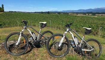 1 Day Guided Moutere Hills E-bike Winery Tour 